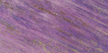 Керамогранит Ametista Solenne 30 30x60