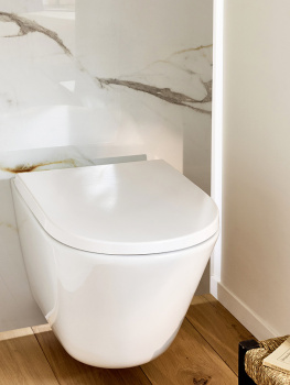 Подвесной унитаз Jacob Delafon Bastille EDAS102-00 белый