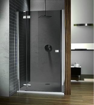 Душевая дверь Radaway Almatea DWJ 120 L 31402-01-05N