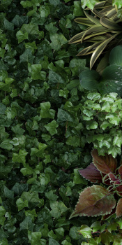 Керамогранит 4100151 Jane A 50x100