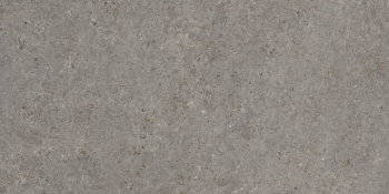 Керамическая плитка Living Ceramics Bera&Beren Dark Grey Ductile Soft 60x120 см LV10088