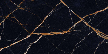 Керамогранит Provenza Unique Marble Sahara Noir 601200.95 Silktech