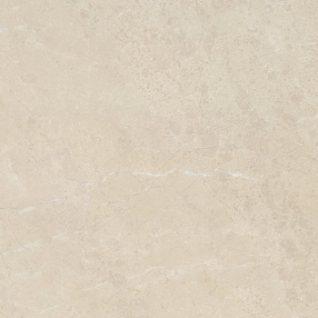 Керамогранит 28946 ALPINE Beige SP 100x100