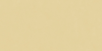 Керамогранит Blossom Sun Matt-X 60x120 см N12037