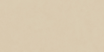 Керамогранит Blossom Ivory Matt-X 60x120 см N12042