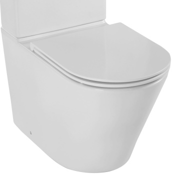 Чаша унитаза-компакта Jacob Delafon Rodin+ UJAB102-00 белый