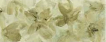 Плитка GB24 Bellagio Verde 20*50