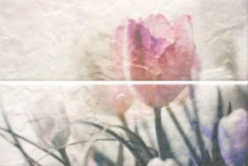 Плитка Composicion Hypnotic A 22,5х67,5