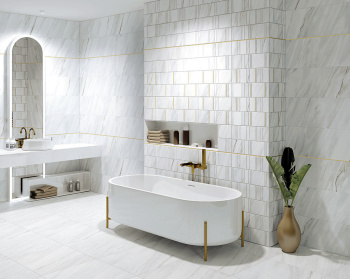 Плитка 16BO30O Mold Omega 100 Plata 0.5*100