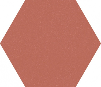 Керамогранит F921 Paprica Aragosta Esa 25x21.6