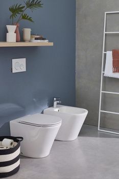 Напольное биде Jacob Delafon Rodin+ EBJ0002-00, белый белый