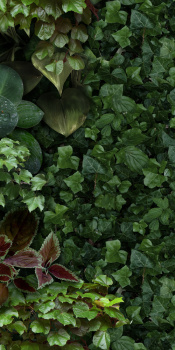 Керамогранит 4100154 Jane D 50x100