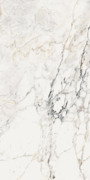 Керамогранит AE PAO6 12 LP 60x120