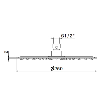 Верхний душ Newform X-steel 316 d250, без кронштейна, G1/2, INOX 29392X.50.050