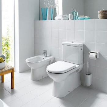 Чаша напольного унитаза Laufen Pro 8.2495.6.000.000.1