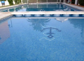 Мозаика Vidrepur Nieblas Панно PAREJA DELFINES 2850х1900 (на сетке) С0001645