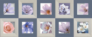 Плитка Dec.Charme AQUA B-24 20x50