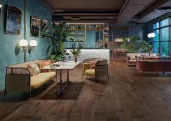 Керамогранит Coliseumgres Brenta Brown Nat 22.5x90 см 610010001985