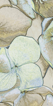 Керамогранит Villeroy&Boch K2730CB650010 Декор Rockyart лаймлайт 60х120