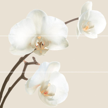 Плитка Декор ORQUIDEA C5 (комплект 3 шт 25x75)