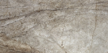 Керамогранит Rain Forest Natural Pulido 60x120