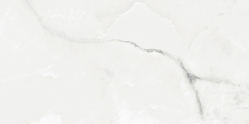 Керамогранит AB 1025G Royal Grey Light gloss 1200x600