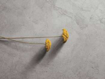 Керамогранит OH25 River Beige Soft 60x120