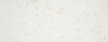 Плитка Goldstone Snow 35х90