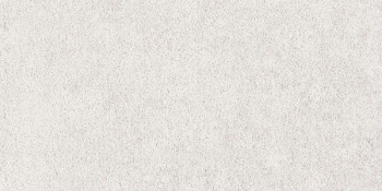 Керамогранит HSC10 White 40x80