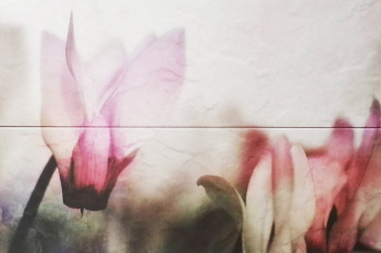 Плитка Composicion Hypnotic B 22,5х67,5