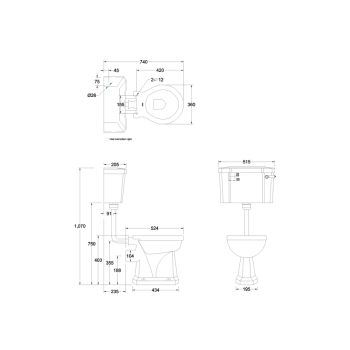 Чаша напольного унитаза Burlington Bespoke/floral P2 BLOSS розовый