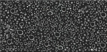 Плитка Descanso Flow 30x60